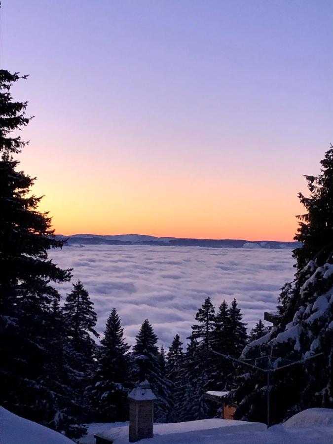 T2- 4Pers- Chamrousse Bachat Bouloud Apartamento Exterior foto